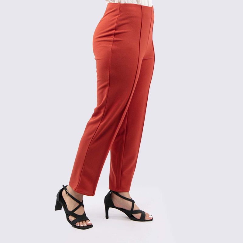 SASSAFRAS-PANTALON-RECTO-IGNACIA-BA-LACRE-Imagen-3