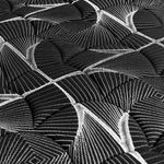 002050924_4